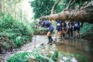 BIB: 
                            <button type="button" onclick="openModal(25475566)" class="btn btn-primary btn-sm float-right btn-popup" data-toggle="modal" data-target=".modal-high-quality">
                        <i class="fas fa-shopping-cart"></i> Add to Cart
                    </button>
                                            <button type="button" onclick="isThisMe(25475566, true)" class="btn btn-success btn-sm float-right btn-popup btn-isme hidden" data-toggle="tooltip" data-placement="bottom" title="นี่คือรูปของคุณใช่ไหม คลิกที่นี่เพื่อเอาเข้าอัลบั้ม">
                        <i class="fas fa-plus"></i> Add to album
                    </button>
                    <button type="button" onclick="isThisMe(25475566, false)" class="btn btn-warning btn-sm float-right btn-popup btn-isnotme hidden">
                        <i class="fas fa-ban"></i> Remove from album
                    </button>